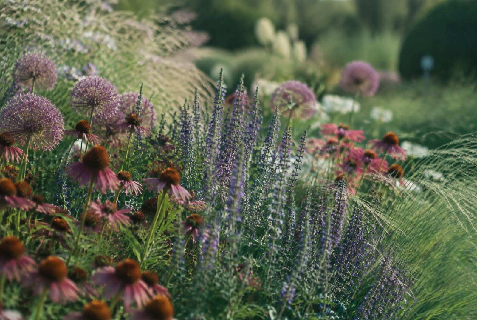 Southsea Planting